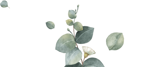 Boda de Dani y Noemí