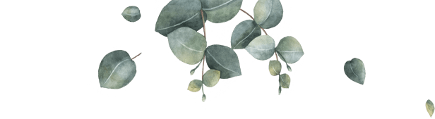 Boda de Dani y Noemí